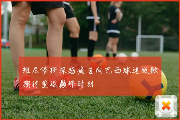 维尼修斯深感痛苦向巴西球迷致歉期待重返巅峰时刻