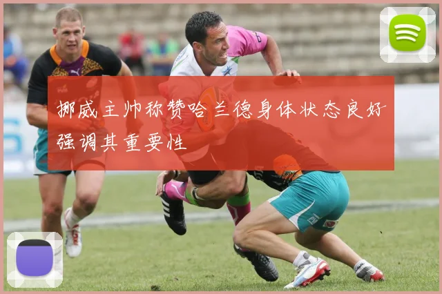 挪威主帅称赞哈兰德身体状态良好强调其重要性
